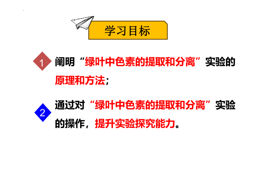 5.4.1 捕获光能的色素和结构（第1课时）课件(共30张PPT)-2023-2024学年高一上学期生物人教版（2019）必修1