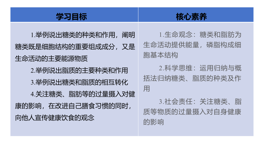 人教生物必修1复习课件：2.3 细胞中的糖类和脂质