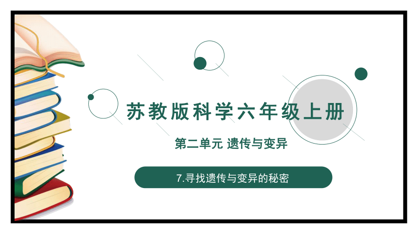 苏教版六年级上册科学2.7 寻找遗传与变异的秘密（课件）(共12张PPT+视频)