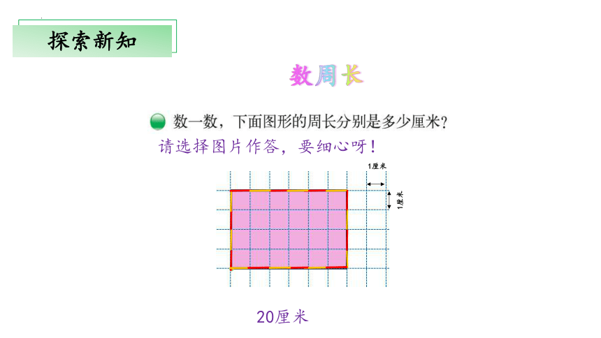 5.1《什么是周长》教学课件(共30张PPT)三年级 数学上册 北师大版