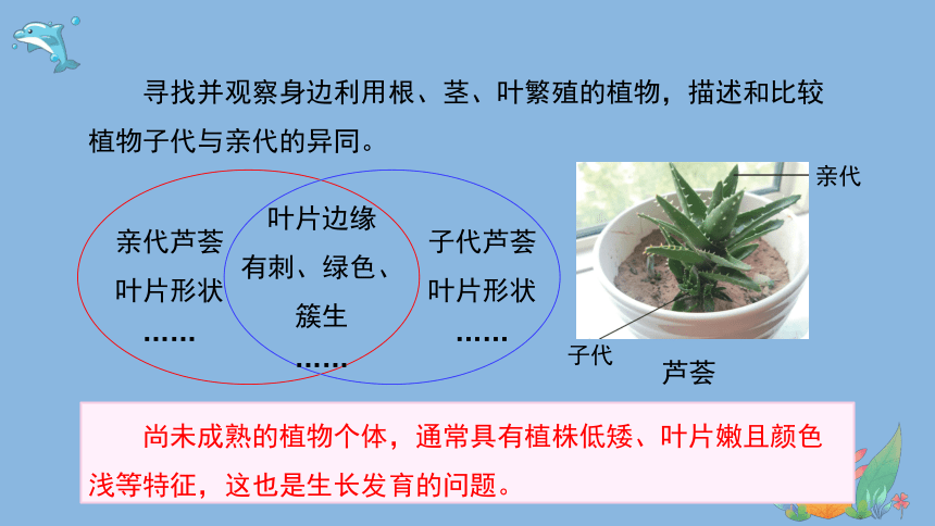 科学大象版（2017秋）六年级上册4.3《植物的遗传和变异》课件（共15张PPT）