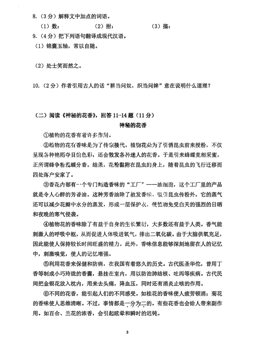 黑龙江省哈尔滨市长江路风华中学2023-2024学年六年级语文上学期期中测试（图片版 有答案）