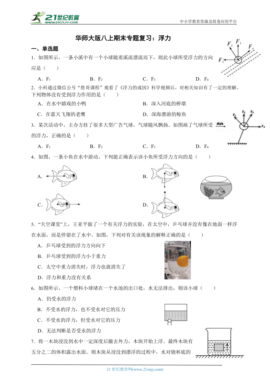 华师大版科学八上期末专题复习：浮力（含答案）