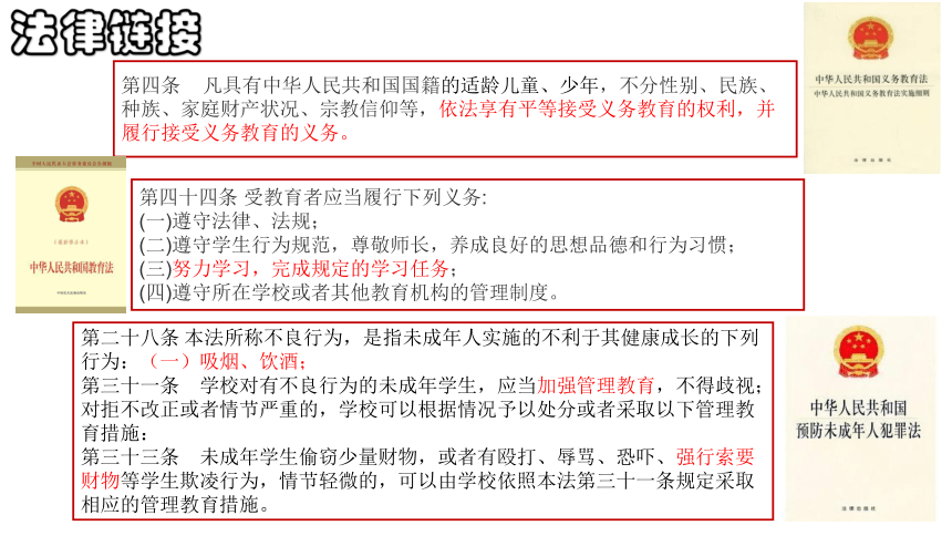 7.2 自由平等的追求 课件（23张PPT）-2023-2024学年统编版道德与法治八年级下册