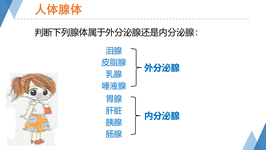 3.2 人体的激素调节 第1课时 （课件 37张PPT）