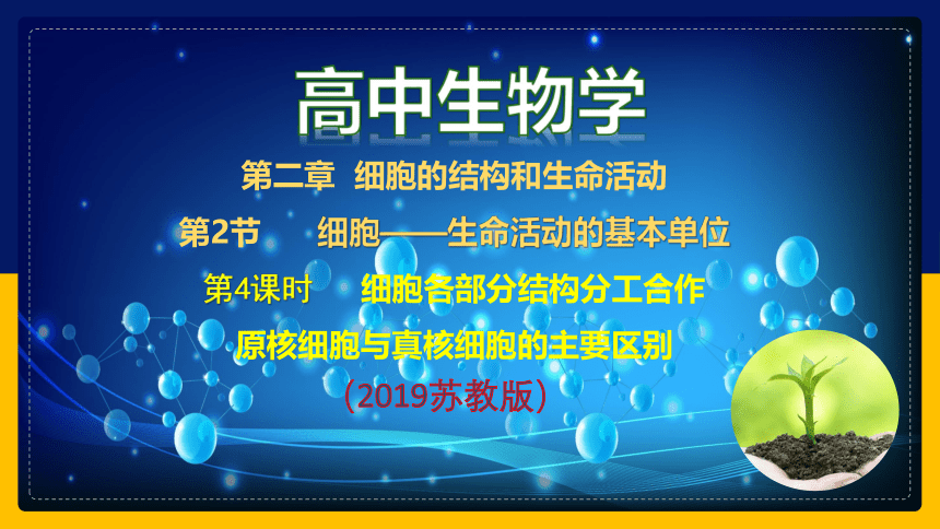 2.2.4细胞的结构和生命活动——细胞各部分结构分工合作 (共40张PPT)苏教版2019必修1