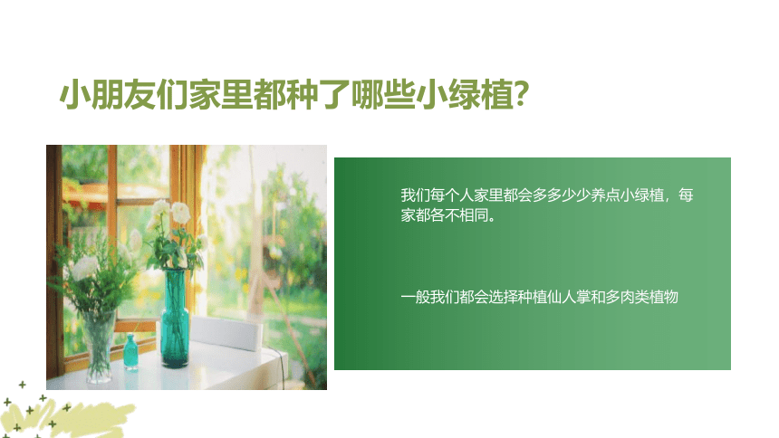 美术社团课程《小植物盆栽》小学延时服务 课件 (21张PPT)