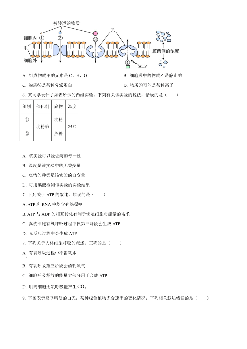 辽宁省辽阳市2022-2023学年高一下学期期末考试生物学试题（解析版）