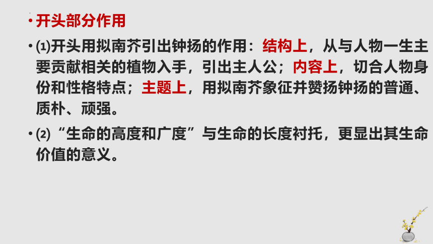 4.3《“探界者”钟扬》课件(共30张PPT)2023-2024学年统编版高中语文必修上册