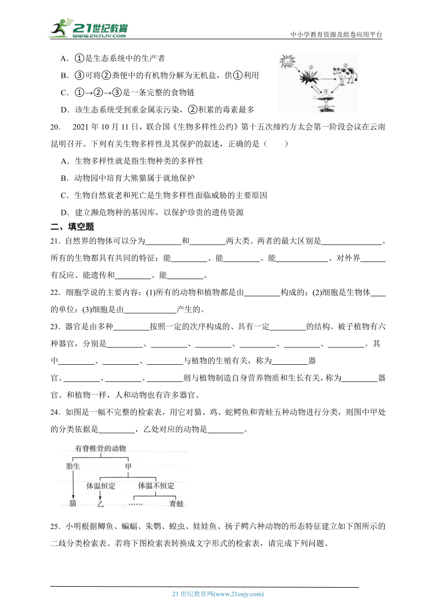 2024年中考科学第一轮复习：生物之生命系统的结构层次