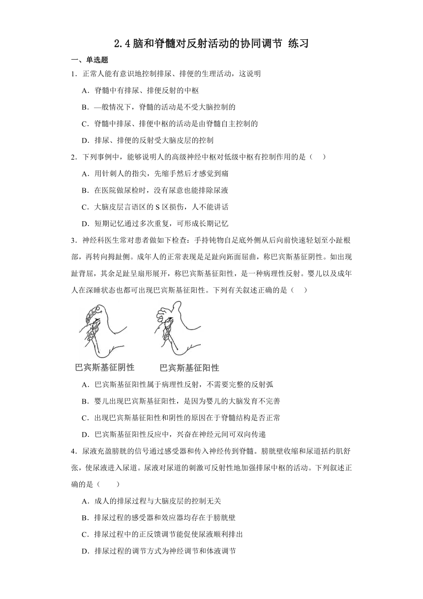 2.4脑和脊髓对反射活动的协同调节 练习（解析版）