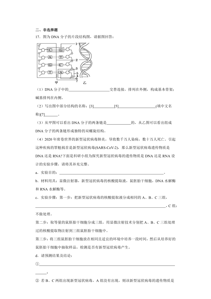 1.2核酸的分子结构 练习（解析版）