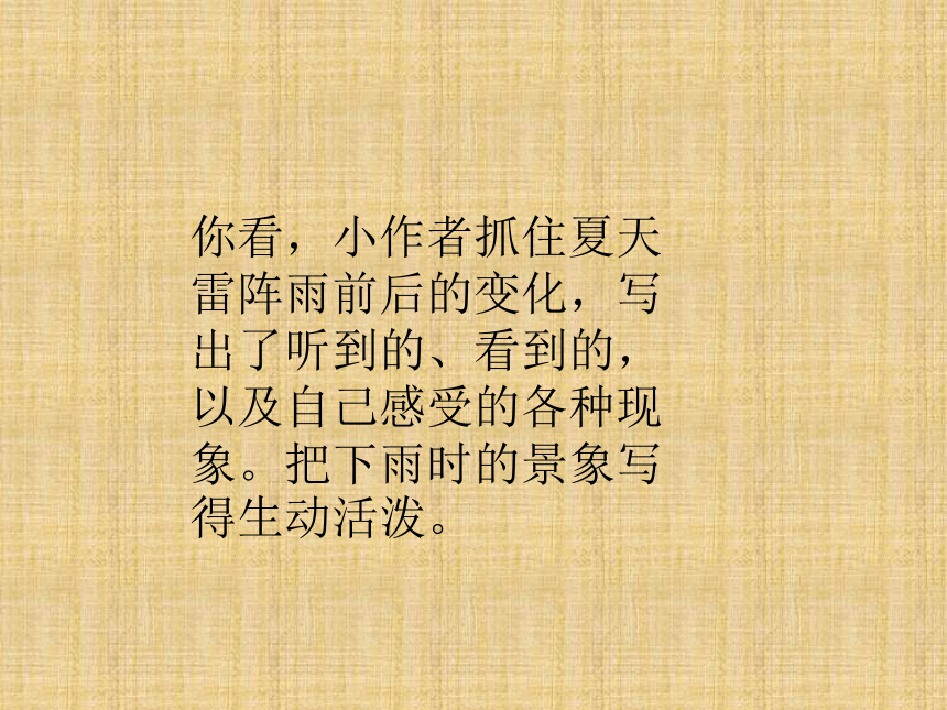 四年级上册语文第三单元  观察日记怎么写  课件(共13张PPT)