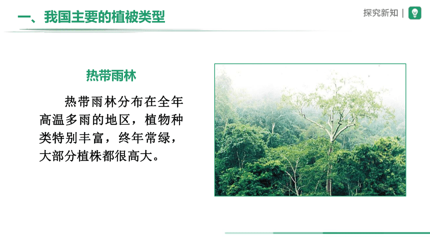 3.6 爱护植被，绿化祖国2023-2024学年七年级生物上册精品资源包 课件(共22张PPT)（人教版）