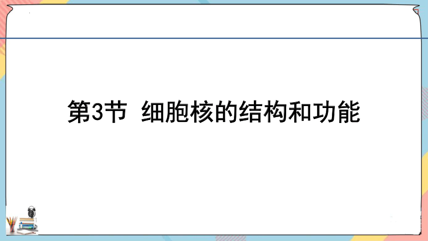 3.3细胞核的结构和功能  课件生物人教版必修1(共31张PPT)