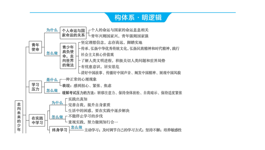 2024河南中考道德与法治一轮复习九年级下册第三单元 走向未来的少年课件（53张PPT)