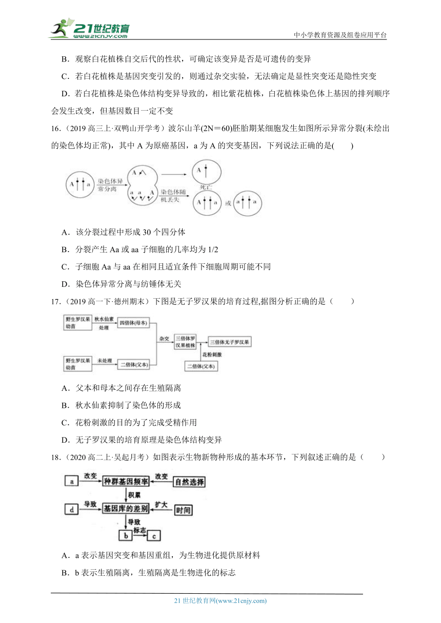 浙科版（2019）高中生物必修2遗传与进化第四、五章综合必刷题(含解析）