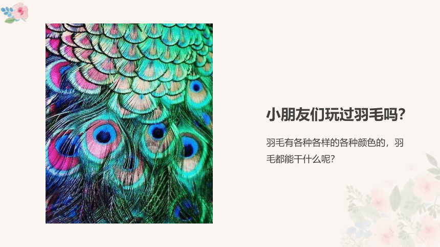 美术社团课程《线描羽毛》小学延时服务 课件 (20张PPT)