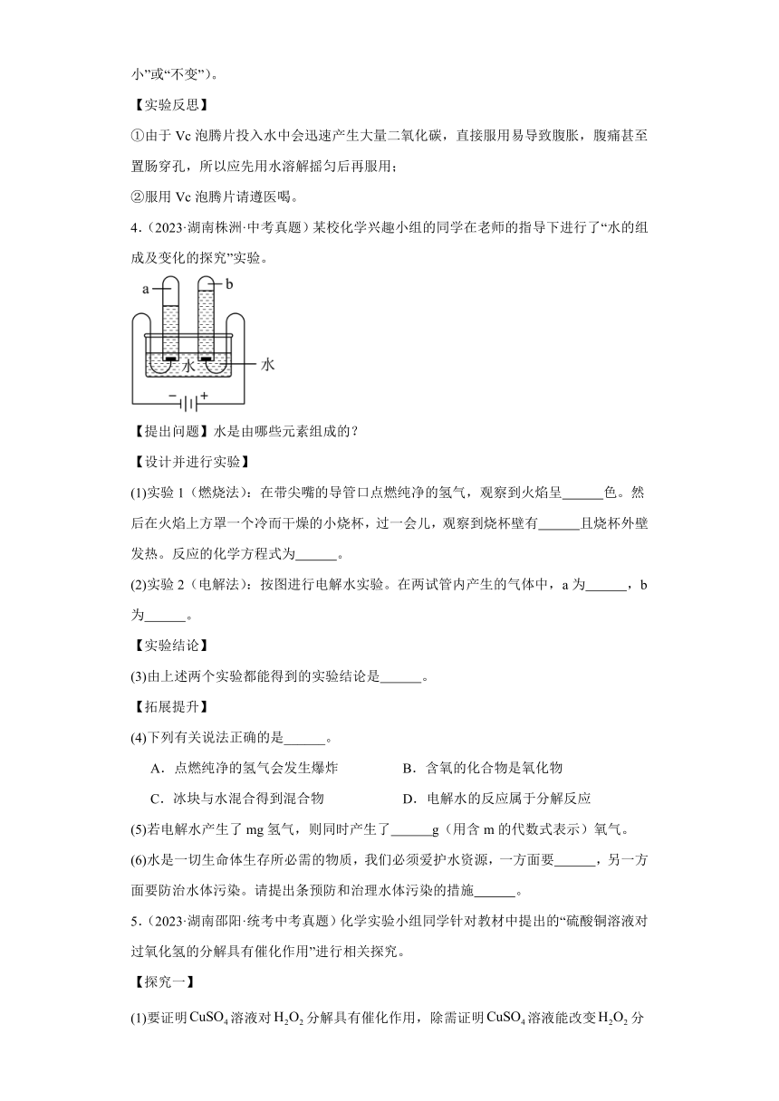 湖南省各市2023年中考化学真题分类分层汇编-02科学探究题（含解析）