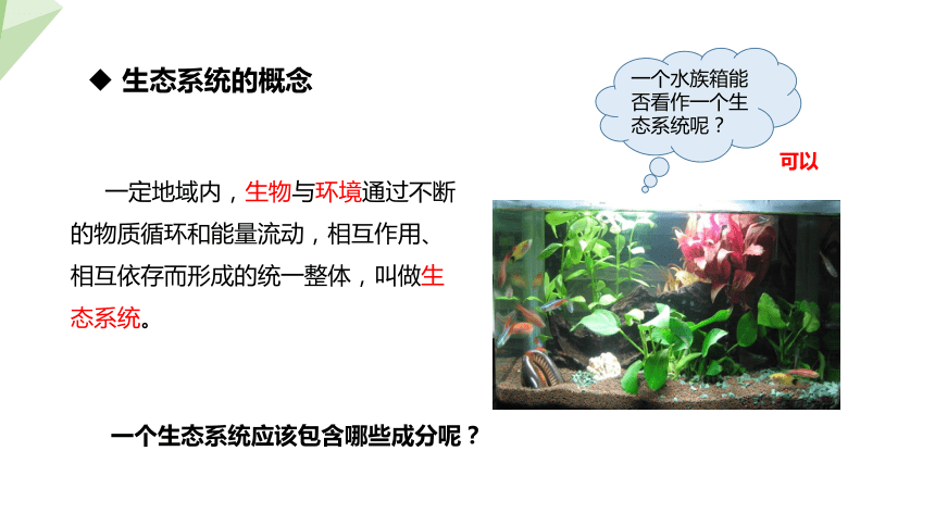 7.19.1 生态系统的组成 课件 (共23张PPT)2023-2024学年初中生物苏教版八年级上册