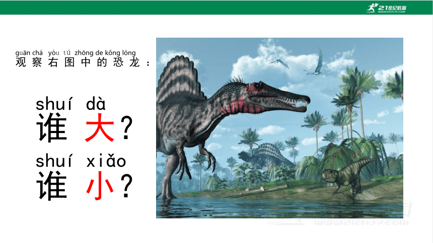 2.1 在观察中比较 课件（47张PPT）