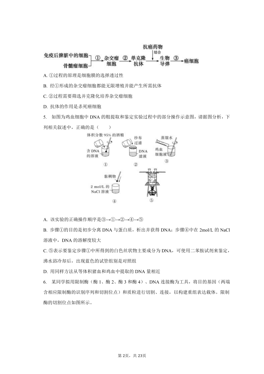 2023-2024学年重庆市西北狼教育联盟高三（上）开学生物试卷（Word含解析）