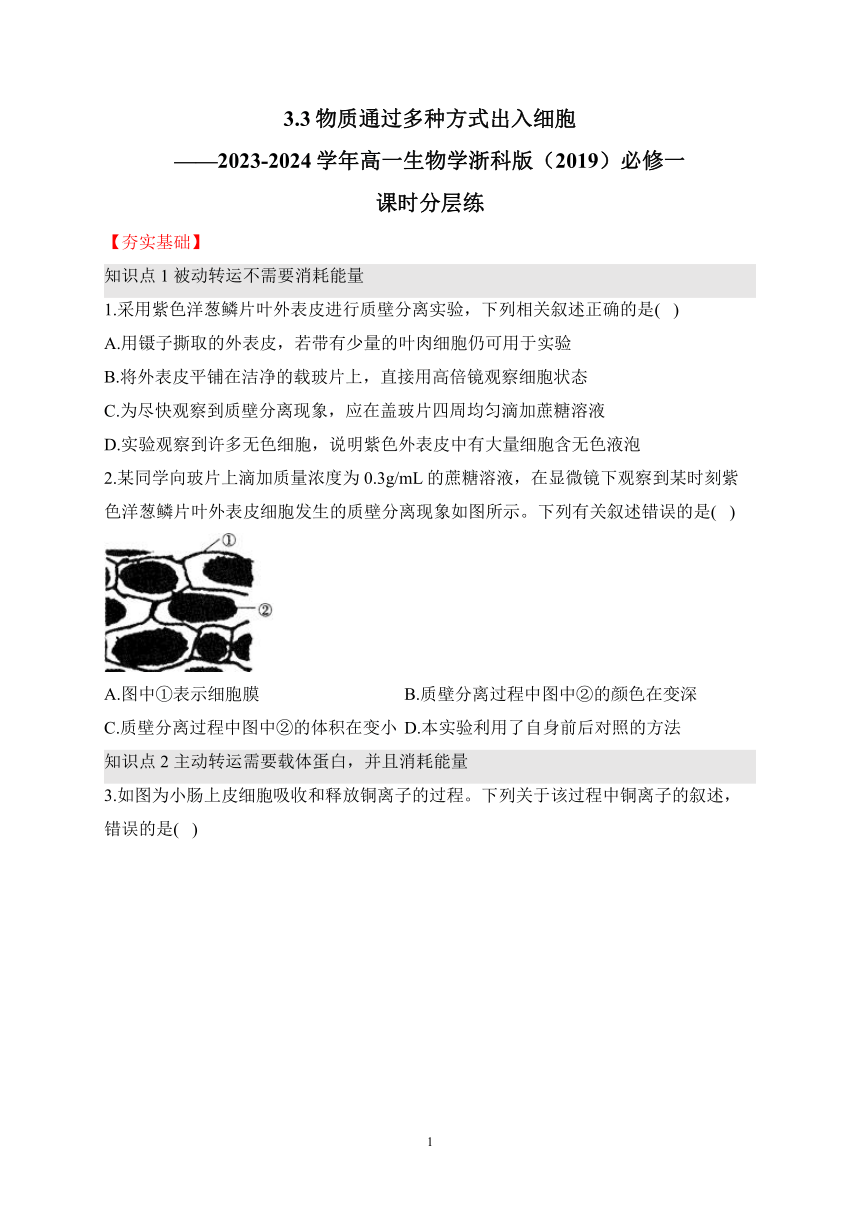 3.3物质通过多种方式出入细胞（含解析）——2023-2024学年高一生物学浙科版（2019）必修一课时分层练