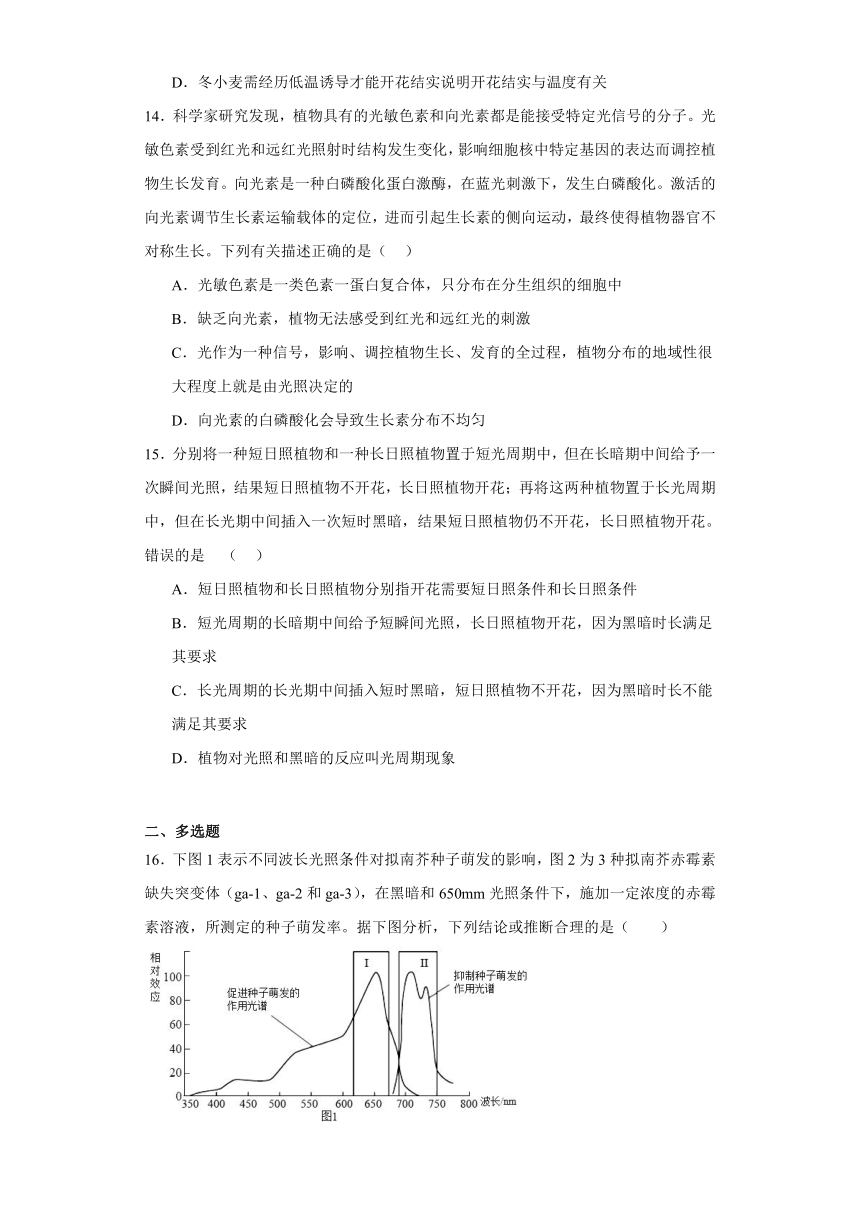 5.3 植物对多种环境信号做出反应 测试题 （有解析）2023-2024学年高中生物学浙科版（2019）选择性必修第一册