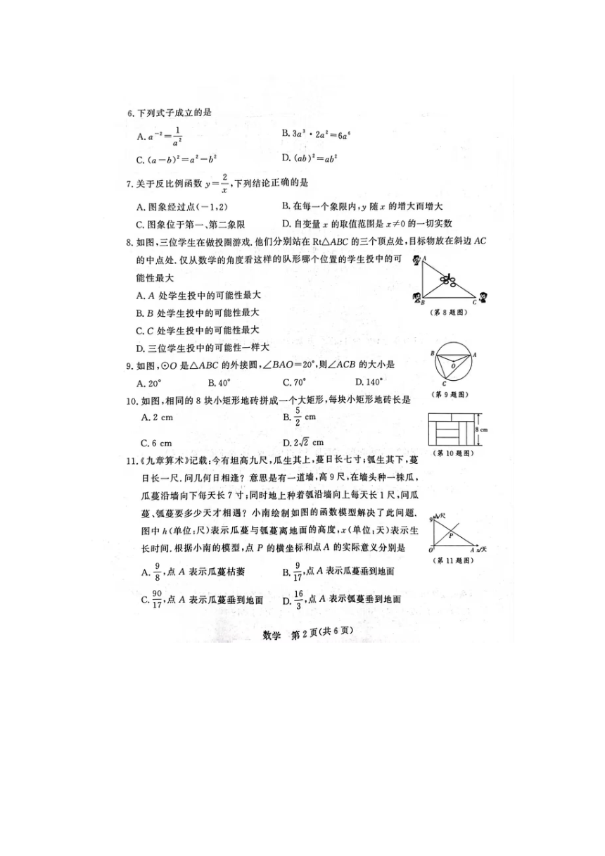 2024年广西壮族自治区南宁市青秀区三美联考模拟预测数学试题(图片版无答案)