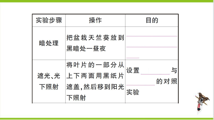 【掌控课堂-创优作业】人教版生物七(上)期末复习 专题四 植物的三大生理作用及爱护植被 (课件版)