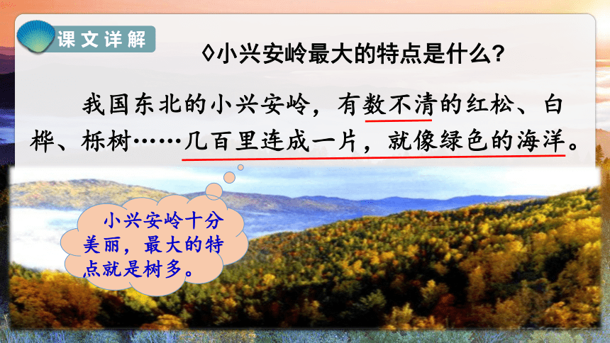 20.《美丽的小兴安岭》第二课时 课件（共44张PPT）