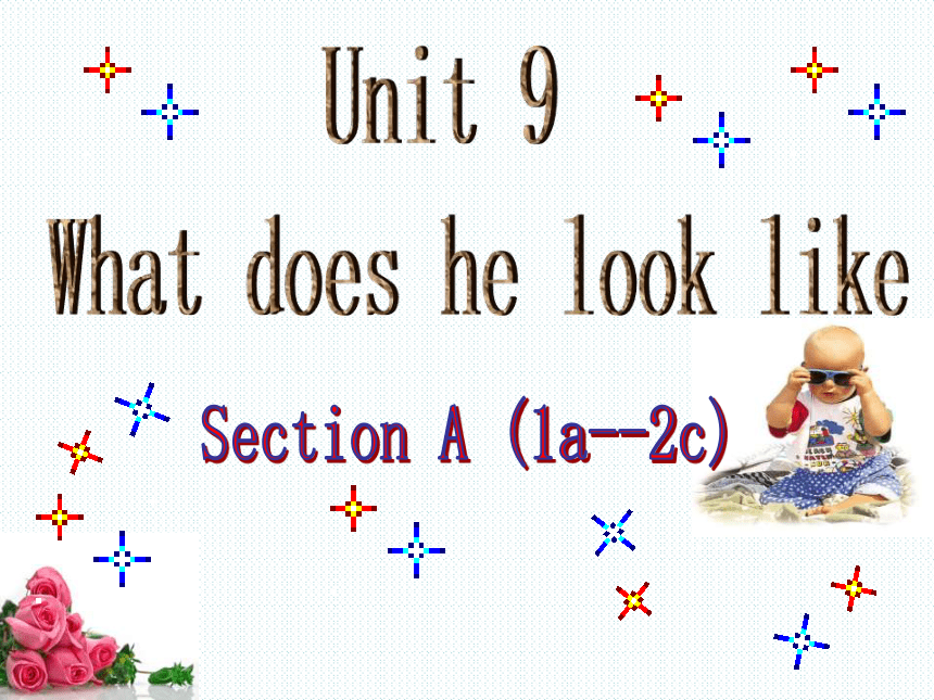 Unit 9 What does he look like Section A (1a--2c)课件(共22张PPT)