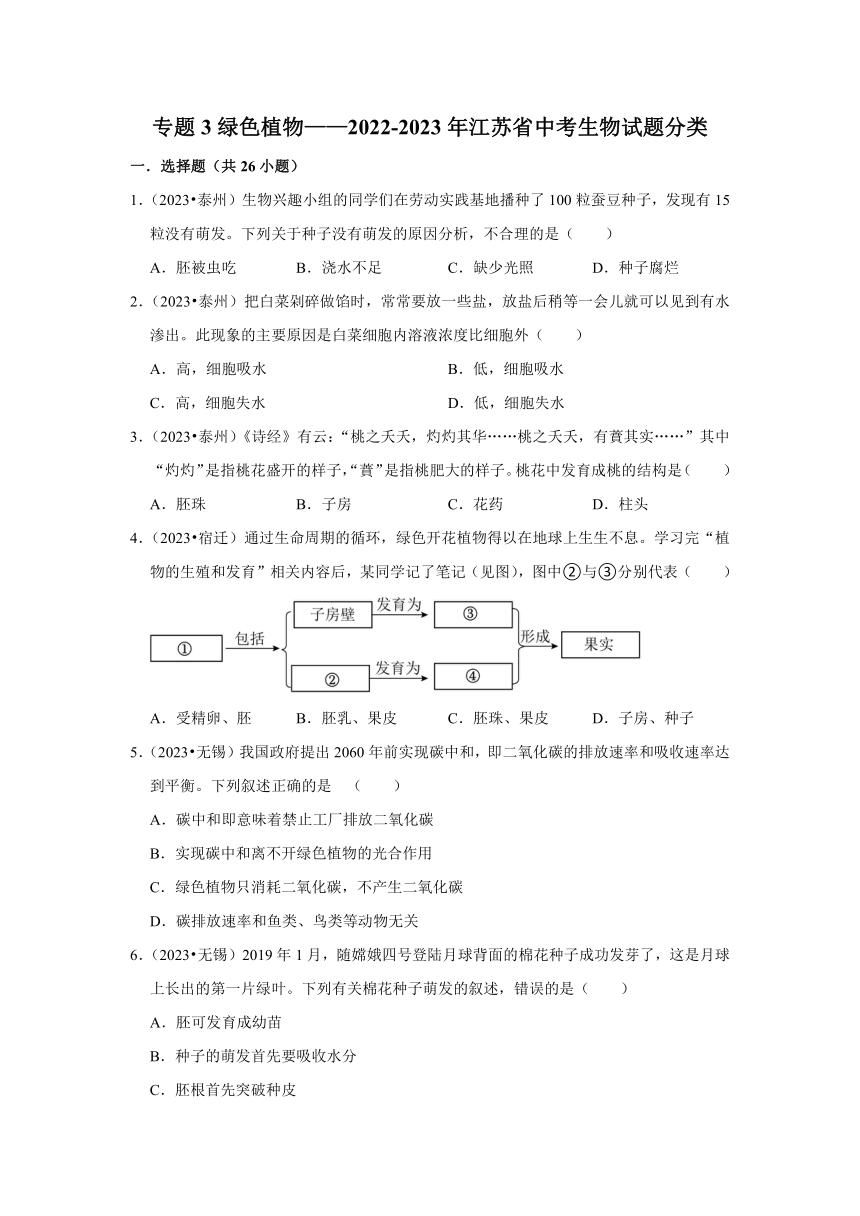 专题3绿色植物——2022-2023年江苏省中考生物试题分类（含解析）