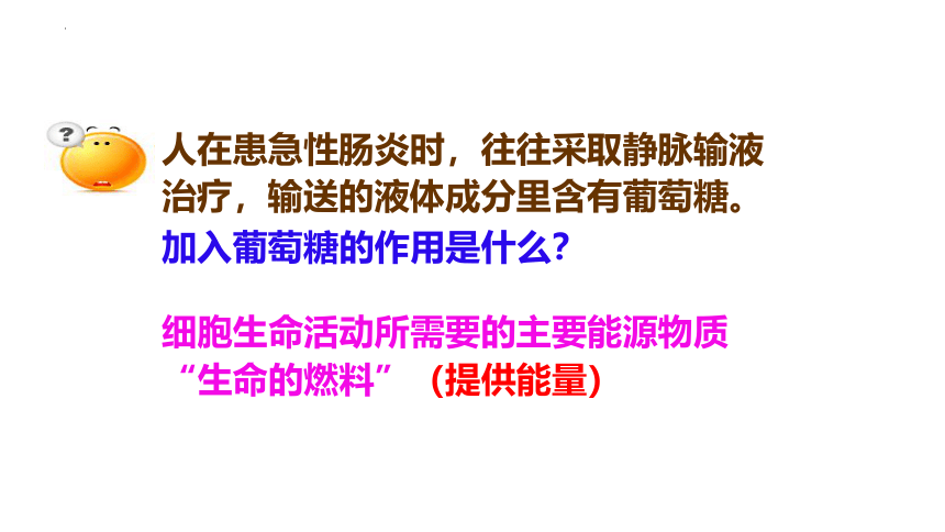 2.3细胞中的糖类和脂质课件(共28张PPT）2023-2024学年高一上学期生物人教版必修1