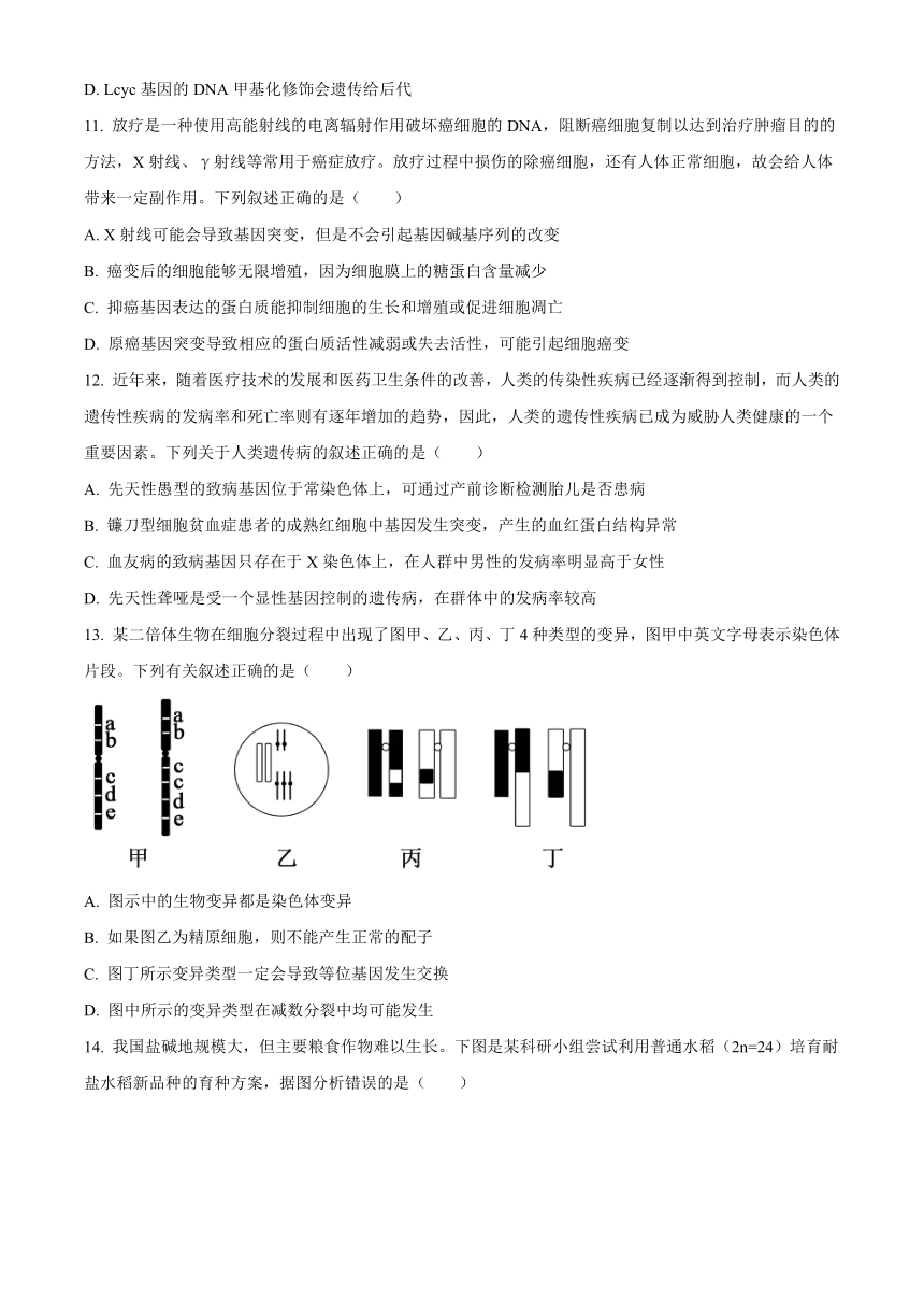 辽宁省抚顺市六校协作体2022-2023学年高一下学期期末考试生物学试题（解析版）