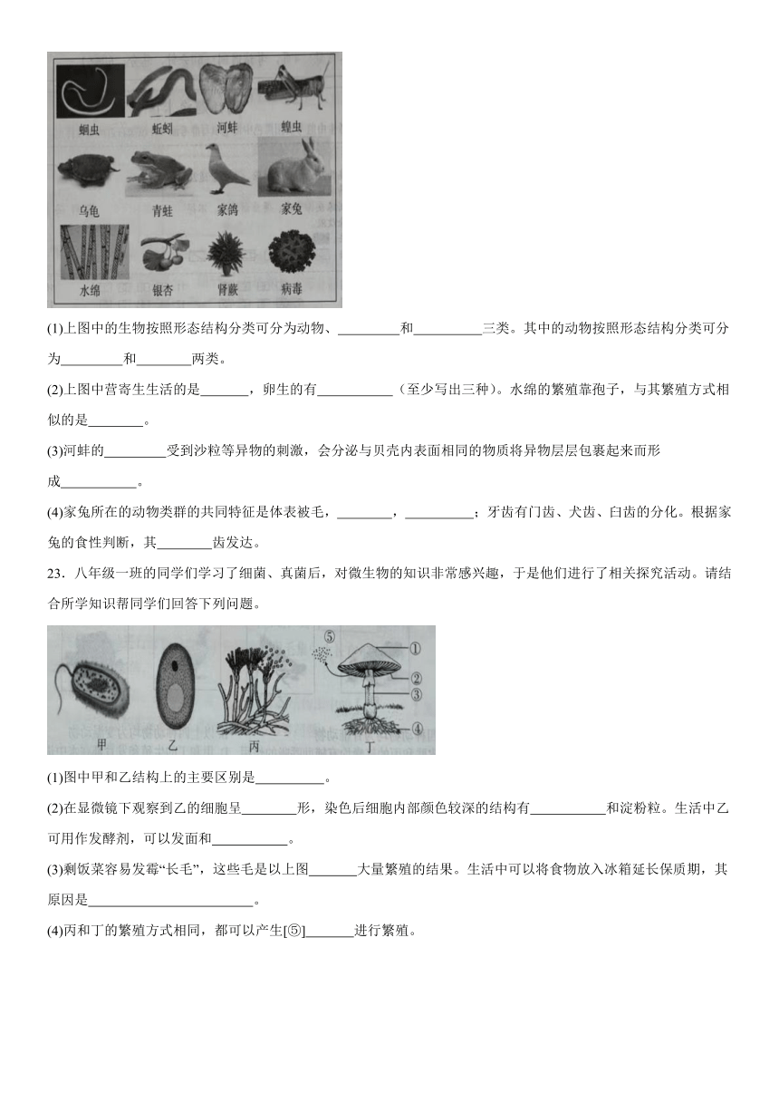 河北省沧州市部分学校2023-2024学年八年级上册12月月考生物试题（含解析）