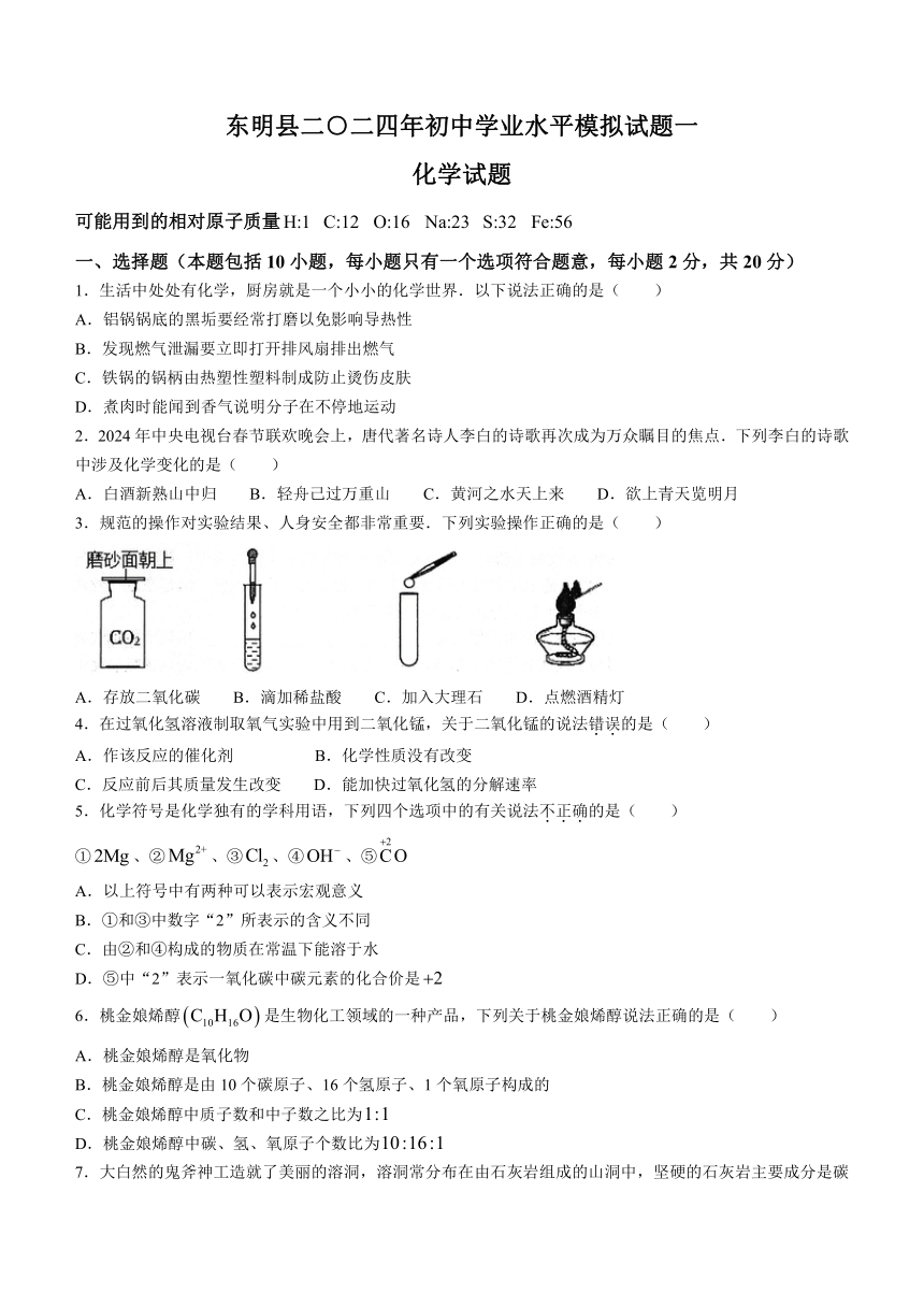 2024年山东省菏泽市东明县中考一模化学试题（含答案）