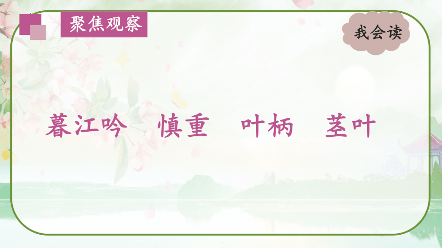 2023-2024学年语文四年级上册《第三单元复习》课件(共67张PPT)