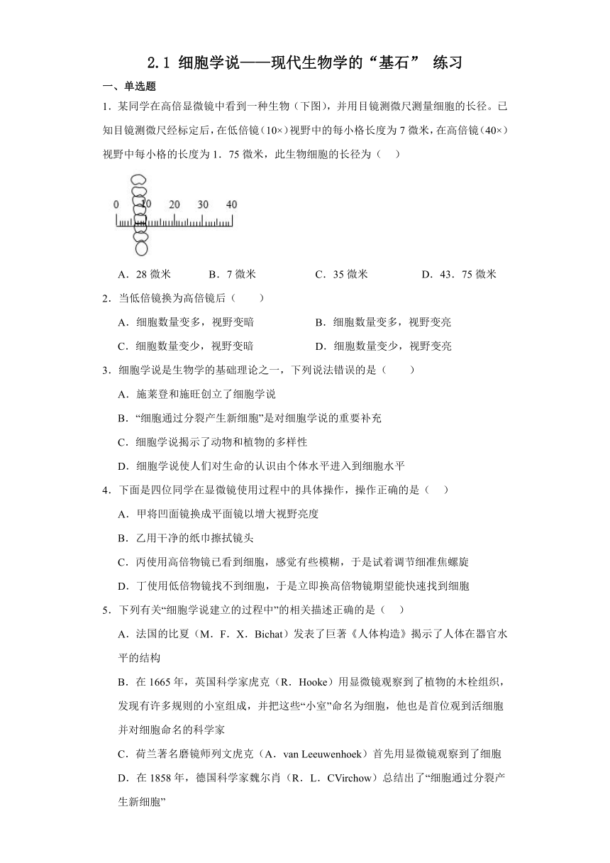 2.1 细胞学说——现代生物学的“基石” 练习（解析版）