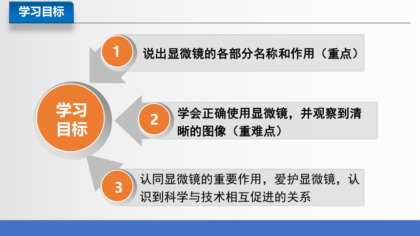 2.1.1 练习使用显微镜课件(共38张PPT)2023-2024学年人教版生物七年级上册