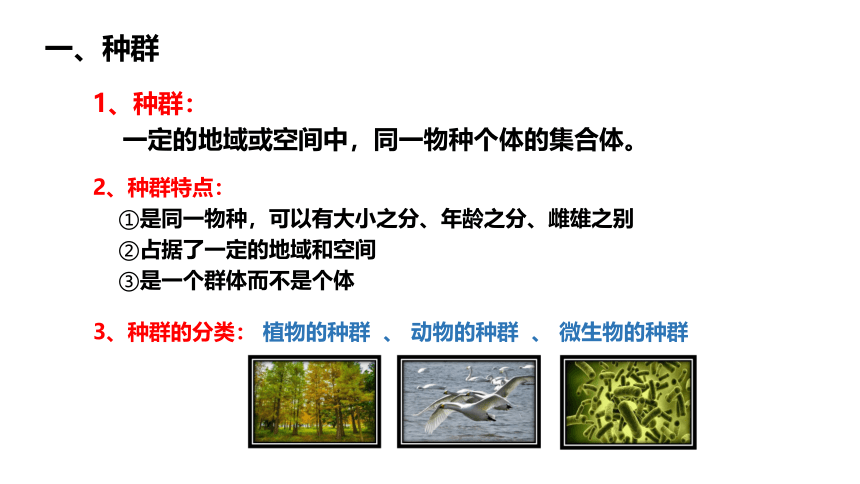 5.1种群和群落--华师大版初中科学七下同步课件