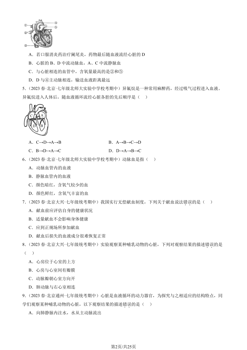 2023北京重点校初一（下）期中生物汇编：生物体内的物质运输章节综合习题（PDF版含解析）