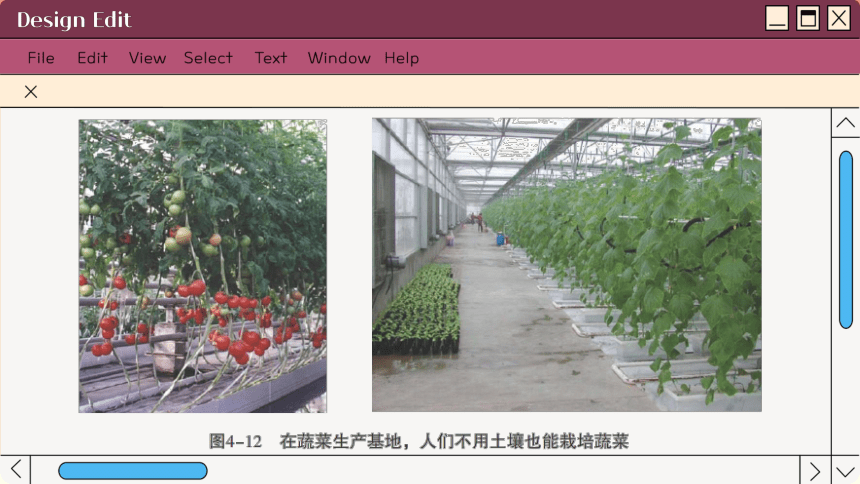 3.4.2绿色植物的生长需要水和无机盐课件（共75张PPT＋内嵌视频2个） 苏科版生物七年级上册