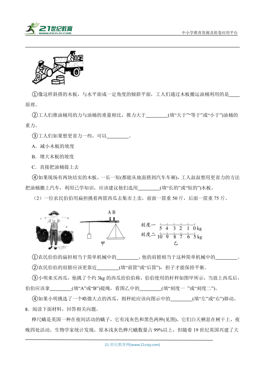 粤教版六年级上册科学期末综合题专题训练（含答案）