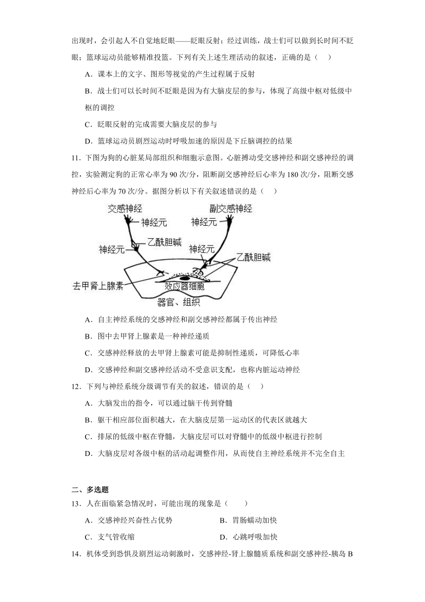 2.4脑和脊髓对反射活动的协同调节 练习（解析版）