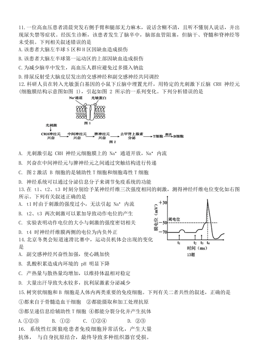 福建省泉州市泉港区重点中学2023-2024学年高二上学期12月第二次月考生物学试题（含答案）