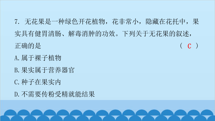 2024年广东省初中学业水平考试仿真试卷(二)习题课件(共41张PPT)