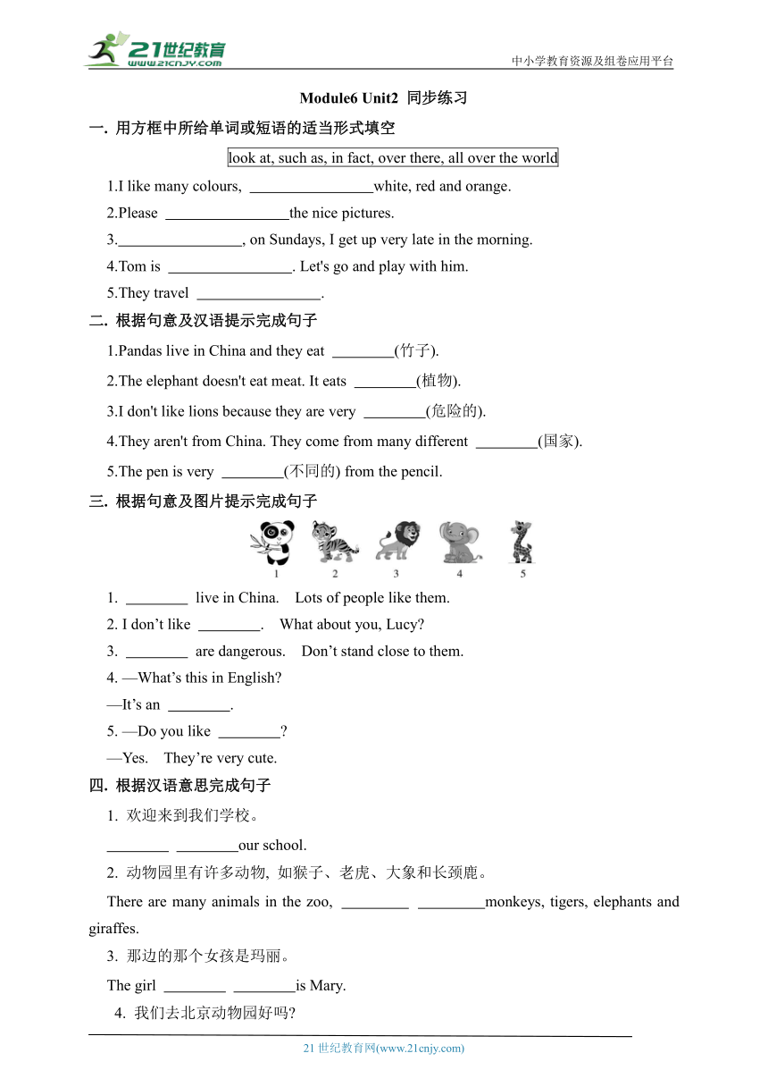 Module6 Unit2 词汇与短语同步练习3（含答案）外研版七年级上册