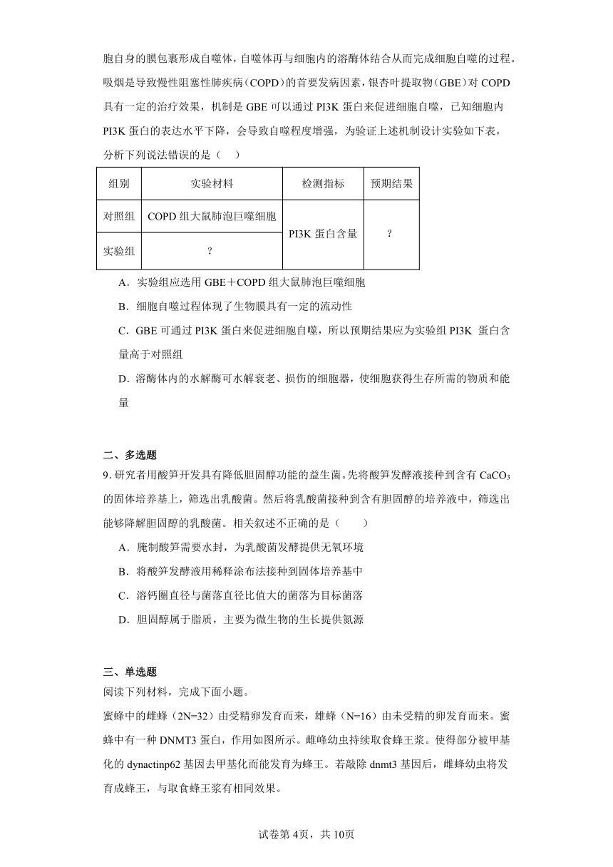 2024届天津市河西区高三一模生物试题（含解析）