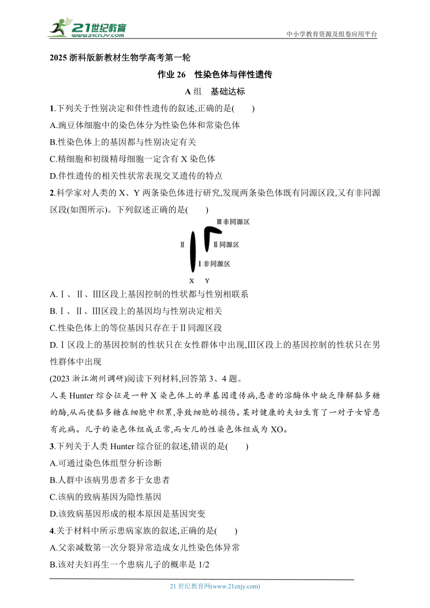 2025浙科版新教材生物学高考第一轮基础练--作业26　性染色体与伴性遗传（含解析）